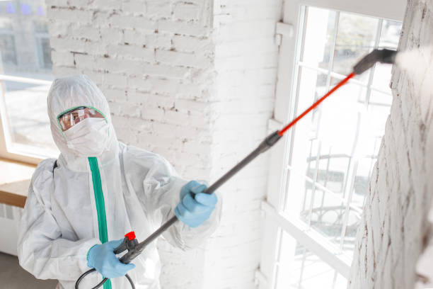 Best Mold Prevention Services  in English Creek, NJ